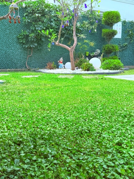 Villa Greenlife 2